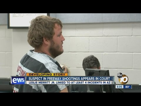Suspect in freeway shootings appears in court