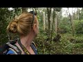 Meeting The People Of The Forest In Borneo Ep 112
