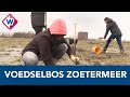 Zoetermeer krijgt een voedselbos: het moet een 'natuurlijke voedselbank' worden -  OMROEP WEST