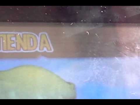 Como jugar dragon city