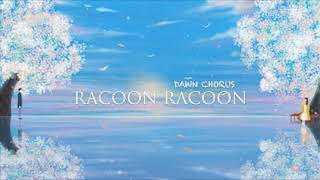 Racoon Racoon - Dawn Chorus (Lyrics) - YouTube