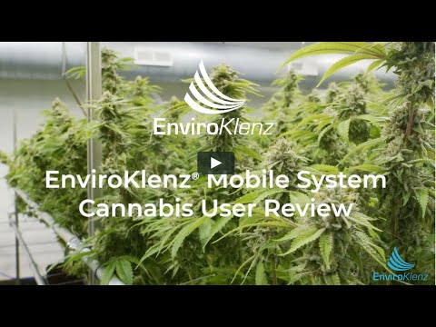 EnviroKlenz Air Purifier Review For Removing Weed Smell