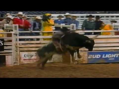 PBR 1995: Alligator kicks the Iron Man