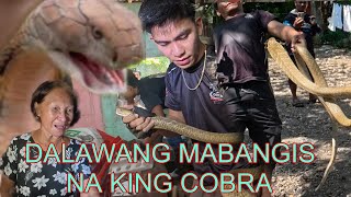 PINAG LUNGGAAN NG MGA COBRA ANG BAHAY NI NANAY