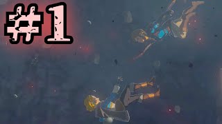 【ゼルダの伝説TotK＃１】こんな理不尽なことある！？リンク全てを失う【ゆっくり実況】