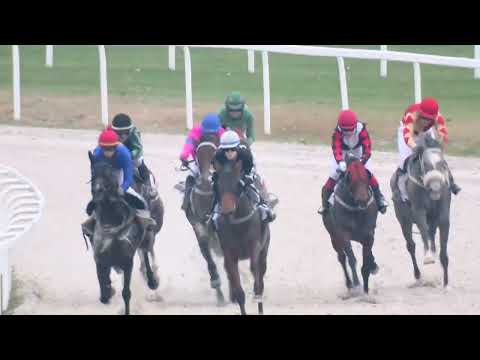 2022.10.30. 06. futam - NÉMETH FERENC EMLÉKKUPA VI. FUTAMA HENDIKEP (V/b.) (szintetikus pálya)