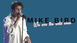 Mike Bird - We Are The Wild Ones (Audio)