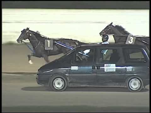 Trotto 20/11/2014 - 5° corsa