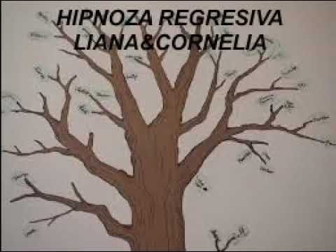 Hipnoza regresiva 294 Maria