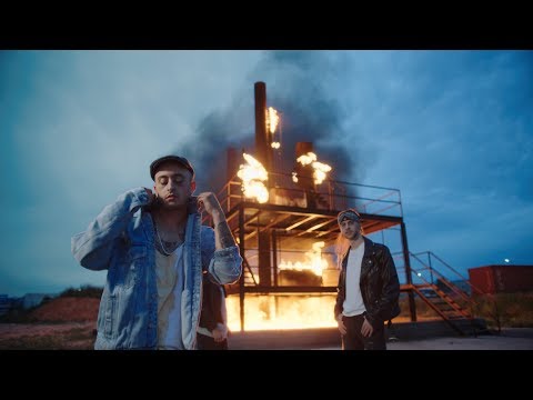 Gato de callejón (con Miguel Campello)