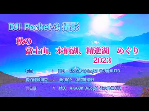 Outono Monte Fuji Lago Motosu Lago Shojiko Tour 2023 Pocket-3 Fotografia