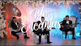 Me Encantas Lyrics English Translation