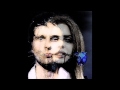 Muse/Lana del Rey - Mashup 