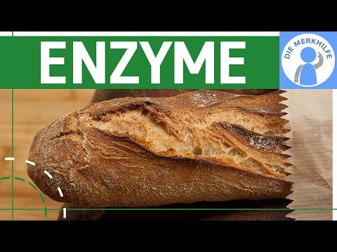 Enzymes as biocatalysts simply explained - What are enzymes? Enzyme activity - Metabolic biology