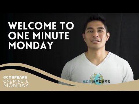 Welcome to One Minute Monday