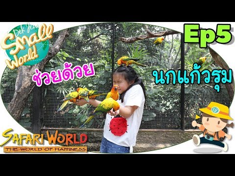 Magnipsor โรคสะเก็ดเงิน พื้นบ้านกลากโรคผิวหนังและการรักษา