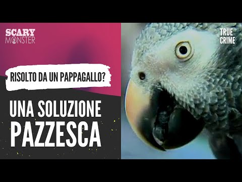 L'Orribile Morte di Marty Duram e un Finale Incredibile