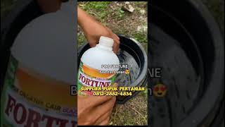 Download lagu Pupuk Durian Agar Cepat Berbuah, Booster Durian Cair 1L #pupukdurian #pupukbuahdurian #boosterdurian mp3
