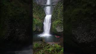 Meditar e Aliviar o Stress #shorts