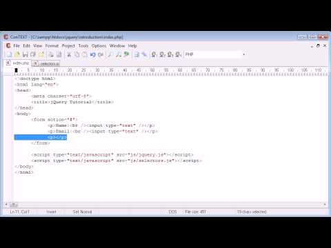 jQuery Tutorial 25 Basic form field selection