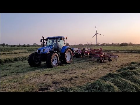 Grasernte 2023 - Schwaden zum 1. Schnitt mit New Holland und Pöttinger