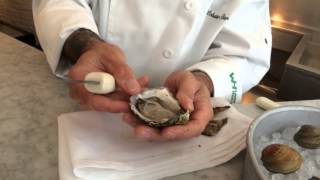 How to Shuck Oysters and Clams with Chef Ed McFarland