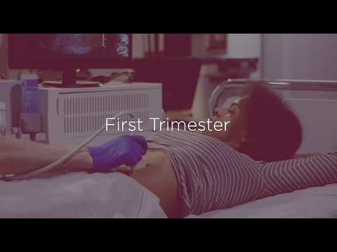 First Trimester of Pregnancy