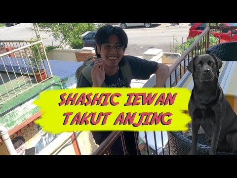 Bila Shashic Iewan takut dengan anjing Juliana Heng #GelakGempak