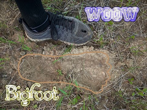 🍄 Kampiranje JUNI Otisci od Bigfoota - Prvi Dio.  BIGFOOT Prints in ground - Alberta.  2021.