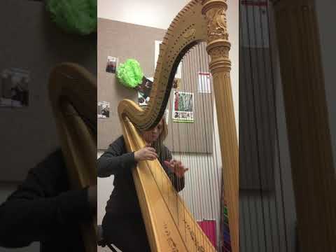 Fire Dance by David Watkins harp music