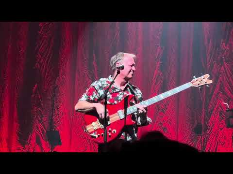 Level 42 - Bass Solo + Mr Pink live at Indigo O2 London 29.11.2024