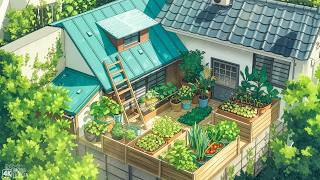 Fresh Spring Morning Vibes 🌿 Rooftop Garden Lofi To Start Your Day Peacefully 🌿 Chill Morning Vibes