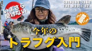 トラフグ・フグ