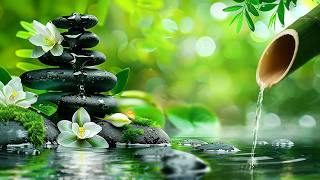 Healing Piano Music for Relaxation 🕯️ Bamboo Ambience, Calm & Mind Reset
