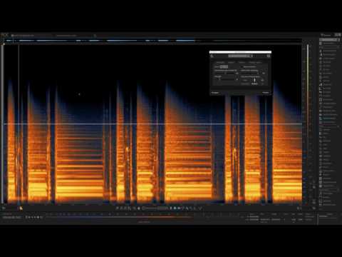 RX 6 | Spectral Repair Overview