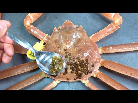 鶏に寄生虫がいるかどうかはどうすればわかりますか?これらは決して無視してはいけない7つの症状です。  庭園