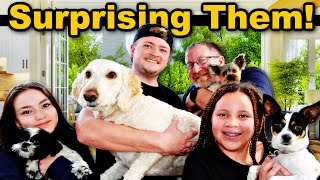 Surprising Them! | Will They Like It?