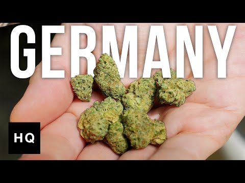 The New Cannabis Capital of Europe?