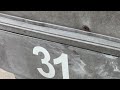 Ants Grabbing the Mail in Asbury Park, NJ