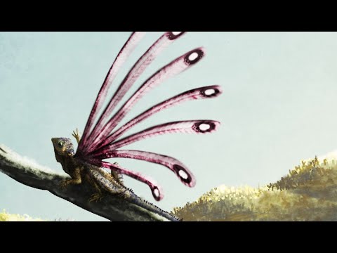 大量絶滅の原因となる火山地帯