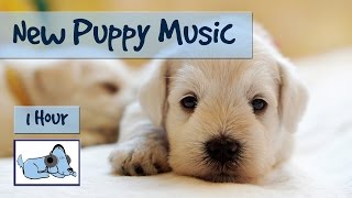 Help Your Puppy get Used to their New Home with an Hour of Anxiety Prevention Dog Music
