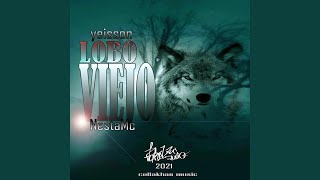 Lobo Viejo Music Video