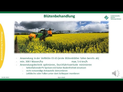 Blütenbehandlung im Winterraps, Frühjahr 2021