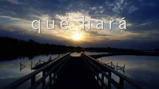Amor Perfecto - Roberto Carlos - Letra - HD