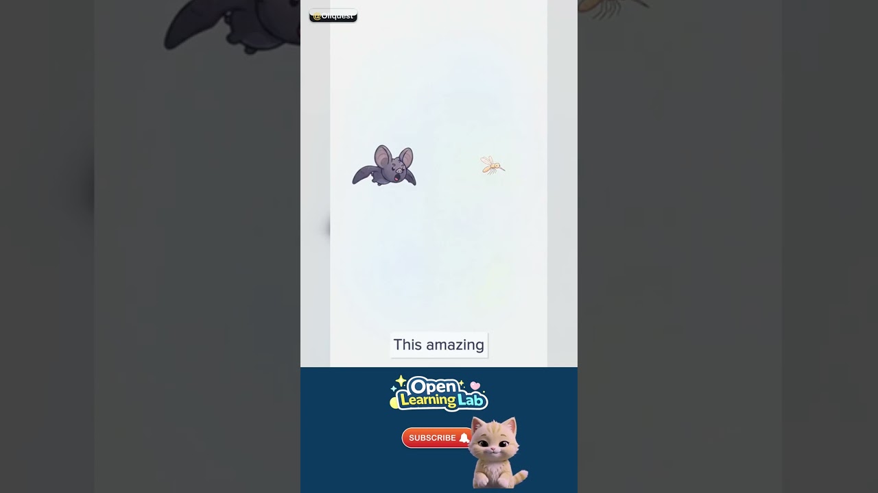 How Do Bats See in the Dark? — What it really is 🚀 #Shorts