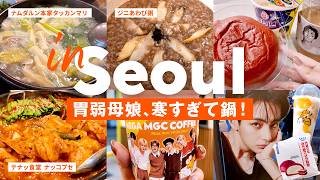 ［ Sub｜聖水｜江南｜狎鴎亭 ］初冬のソウルで鍋活を！ナッコプセ｜タッカンマリ｜あわび粥｜テナッ食堂｜HEYTEA｜KWANGYA｜ソウルの森｜カロスキル｜BTS｜RIIZE｜