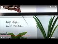 API 5 IN 1 TEST STRIPS How To Use Aquarium Test Strips