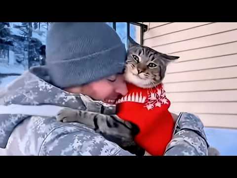🐈 🥰🥰 Soldier Dad's Return After Years, Cats Jump for Joy! #cat