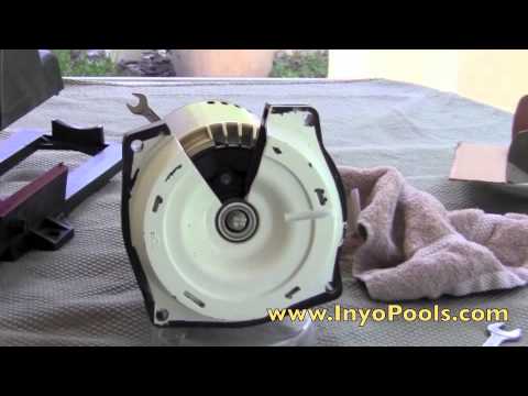 Inyopools.com - How to replace a pool pump impeller