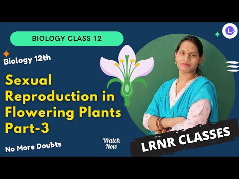 CHSE Board Class 12 - Sexual Reproduction in Flowering Plants Part-3 || LRNR Classes